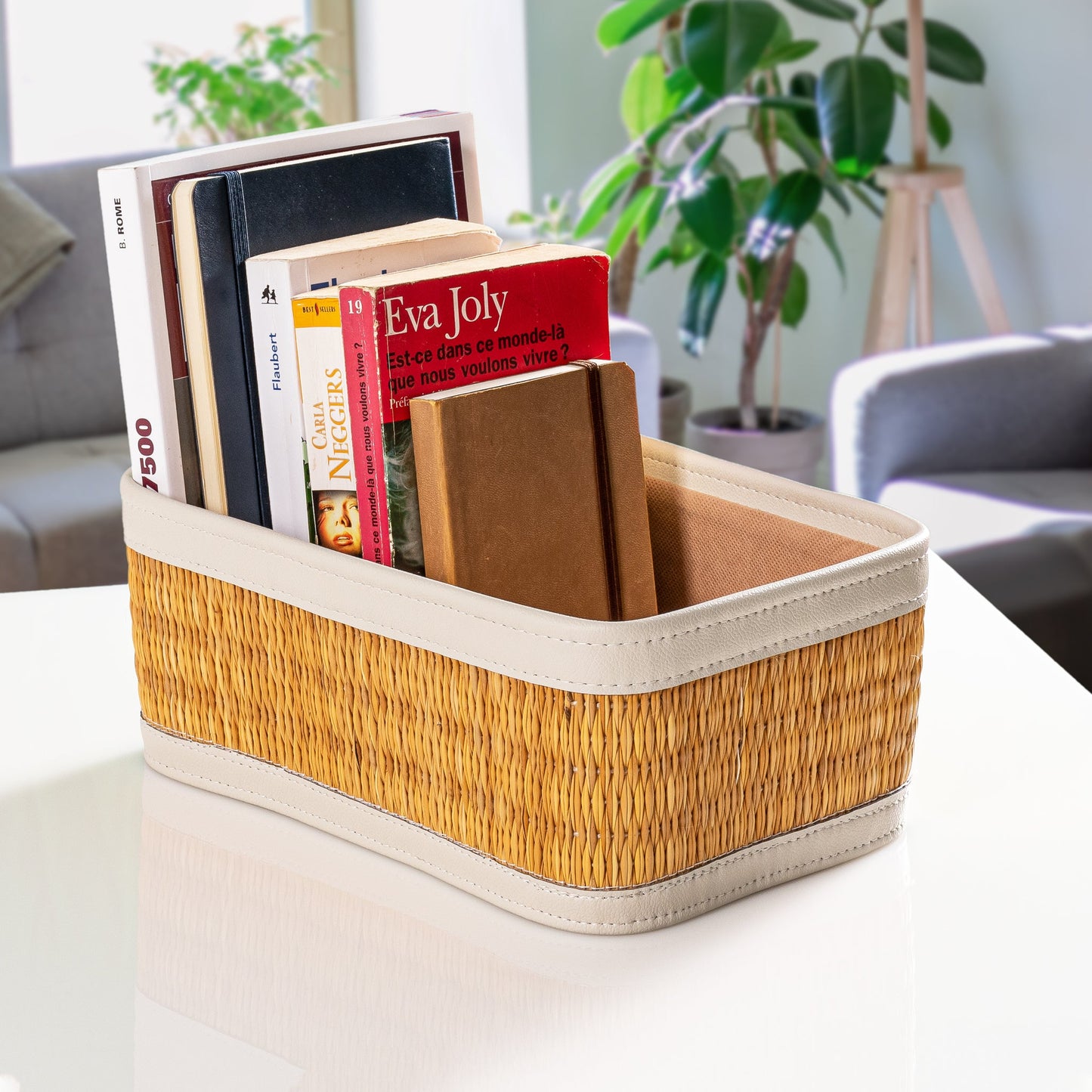 Elegant Smar Baskets - Off-white