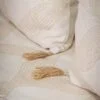 Golden Beige Hayek Bedding Set
